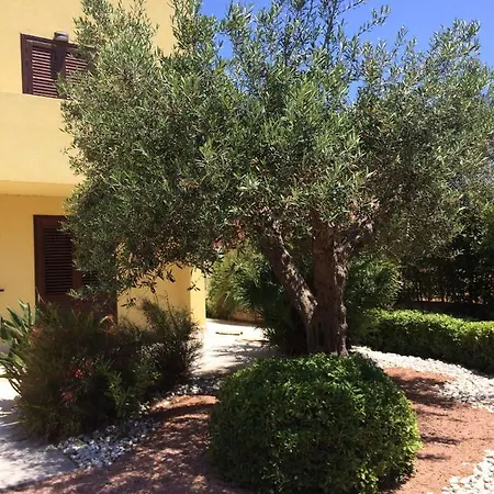 D'amos Favignana